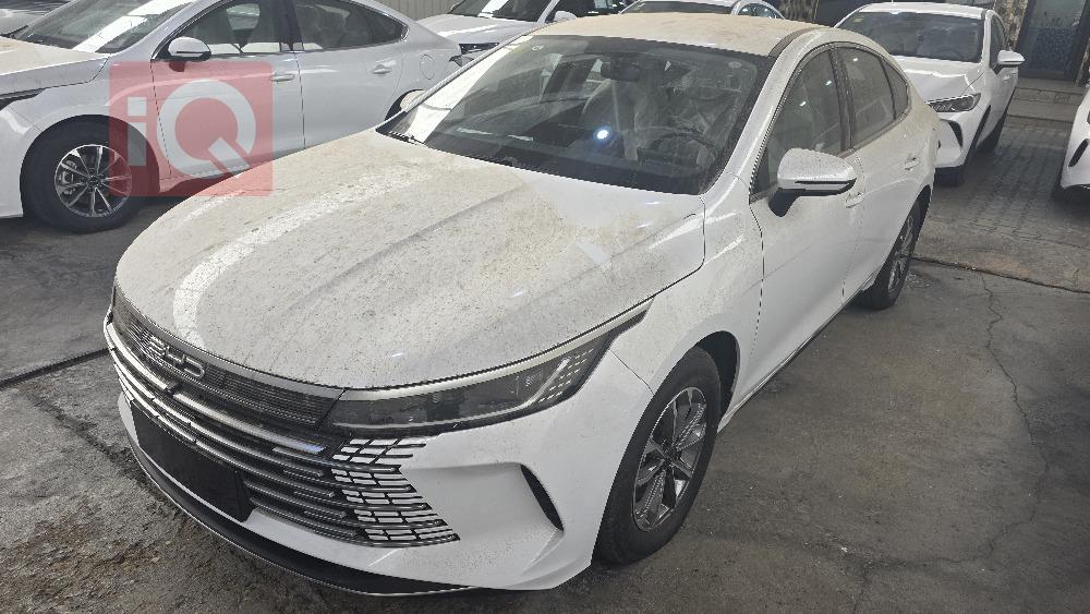 بي واي دي ديستروير 05